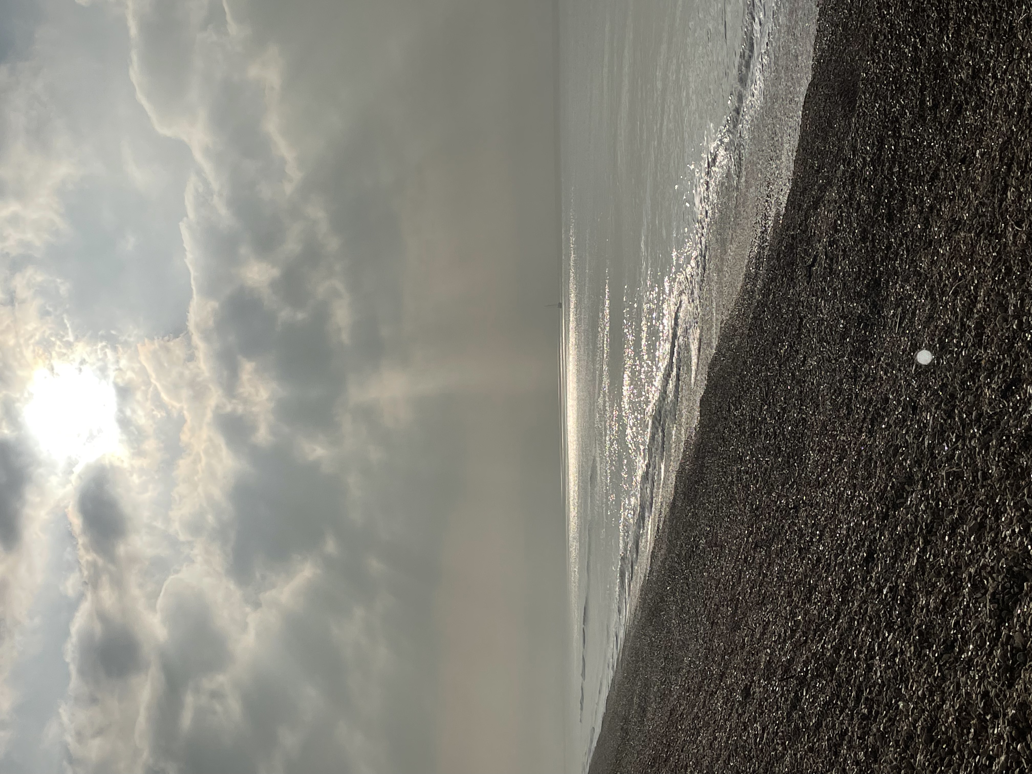 Rays